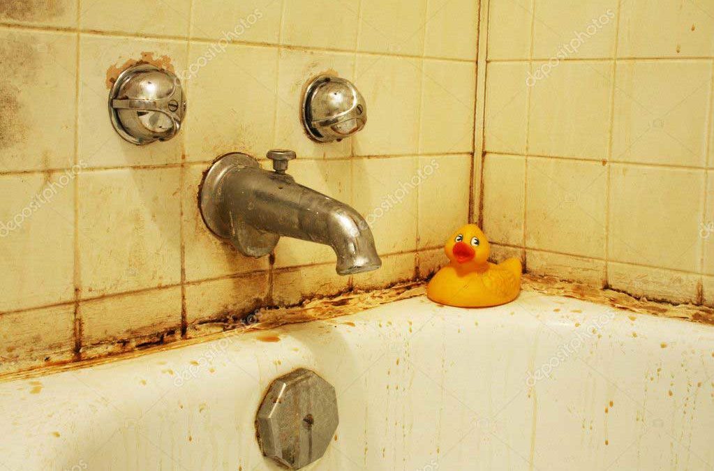 Tips for Bathroom Mold