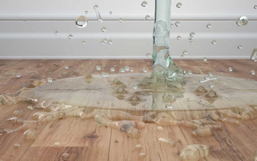 Why you Should Call a Water Damage Specialist