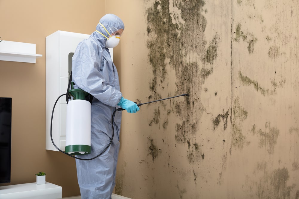 The Tools That Pros Use for Water and Mold Damage Cleanup