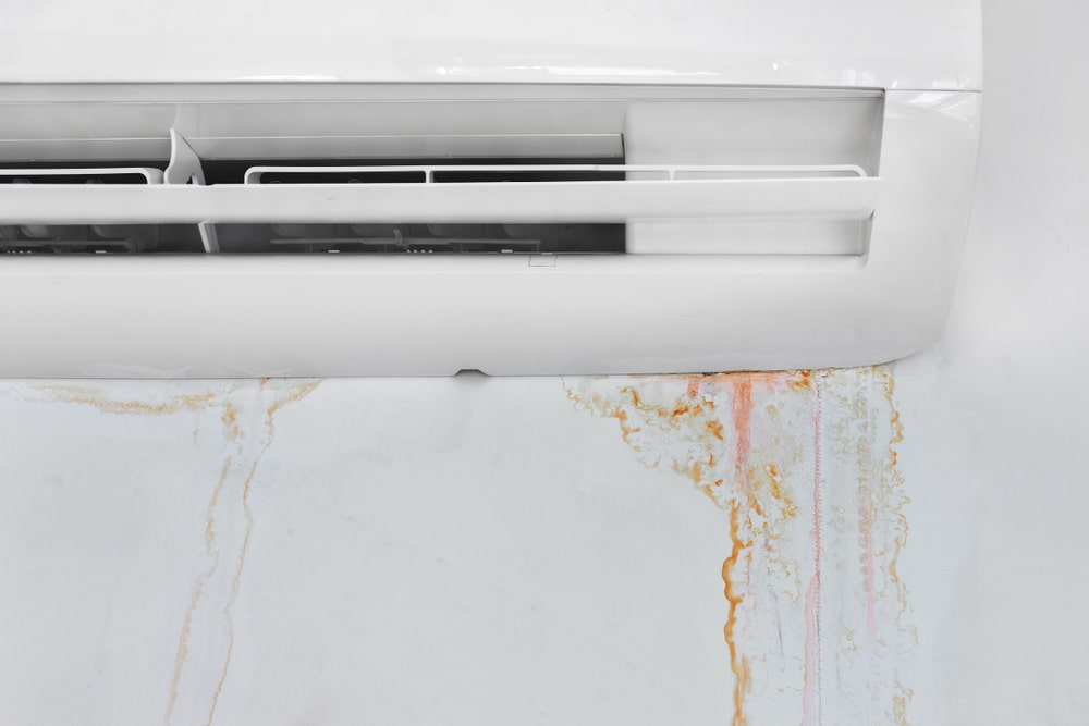 Keeping Your AC Free of Mold