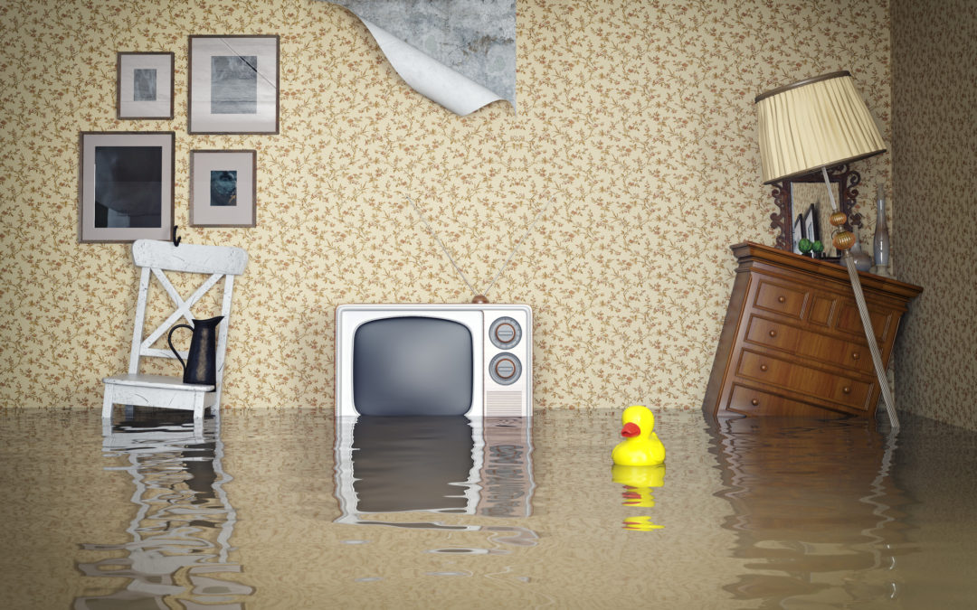 Flood Damage and the Benefits of Timely Response