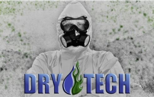 Why Water Damage Should Be Cleaned By Certified Professionals Like Dry Tech