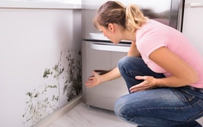 Kitchen Water and Mold Damage