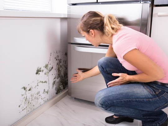 Kitchen Water and Mold Damage