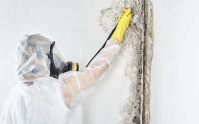 WHY USE A PROFESSIONAL MOLD REMEDIATOR