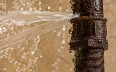 Plumbing Leaks: Prevention, Intervention and Aftermath