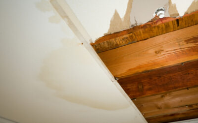 Water and Mold Damage from Roof Leaks