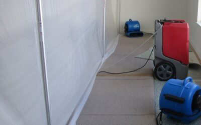 Water and Mold Damage Cleanup
