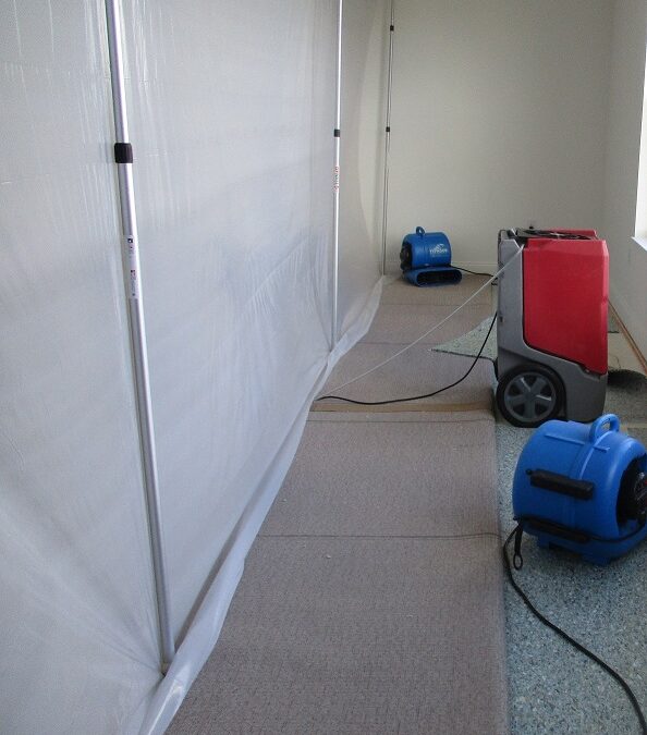 Water and Mold Damage Cleanup